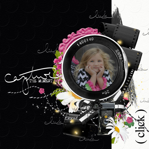 Click ~ Capture the Moment