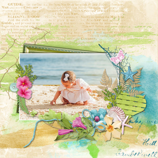 Coastal craze
