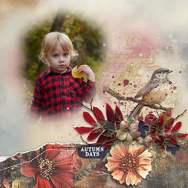 Collecting Fall Memories