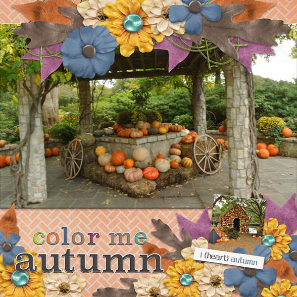 color me autumn