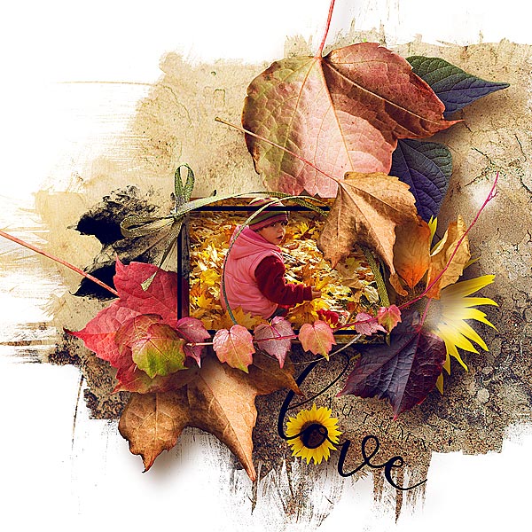 Colours of Harvest - PST Designs