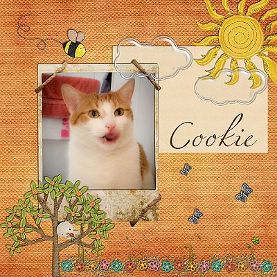 Cookie