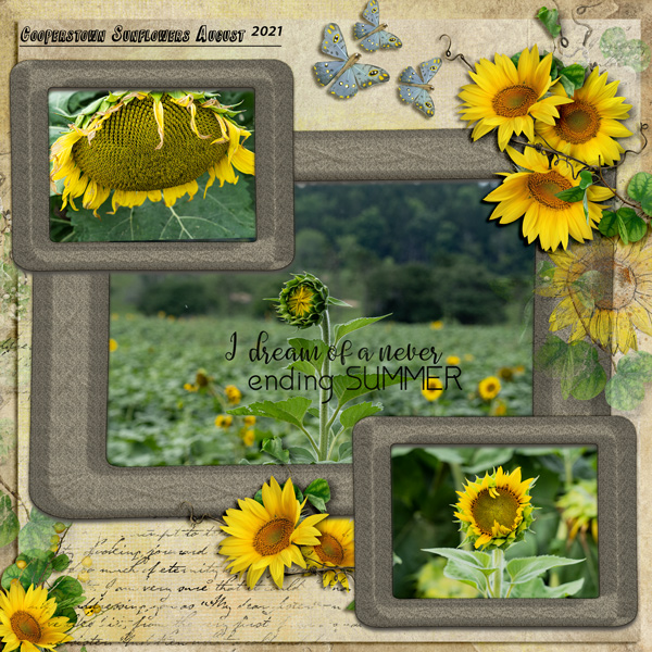 Cooperstown-Sunflowers-2---Frame-Challenge--7-22-WEB.jpg