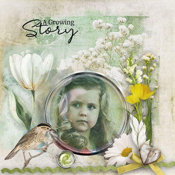 DD_GrowingMemories_p01.jpg
