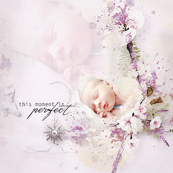 Delicate Mega Bundle by Tiramisu Designs