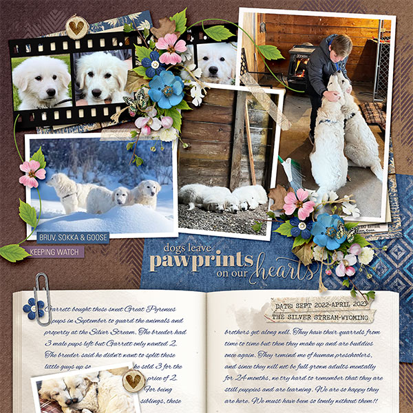 DOGS LEAVE PAWPRINTS ON OUR HEARTS