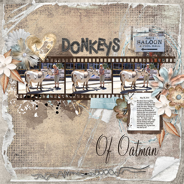 Donkeys Of Oatman