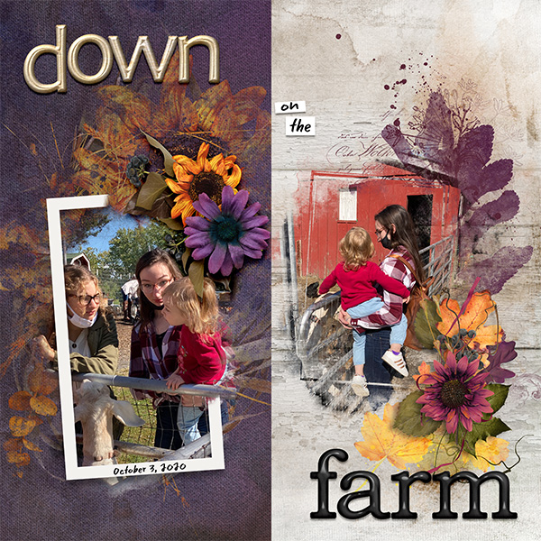 Down on the Farm