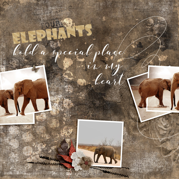 Elephants