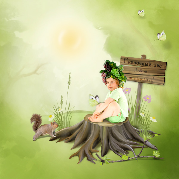 Enchanted forest