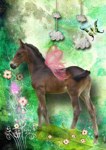 Fairy foal