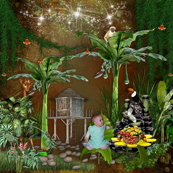 Fairy Jungle