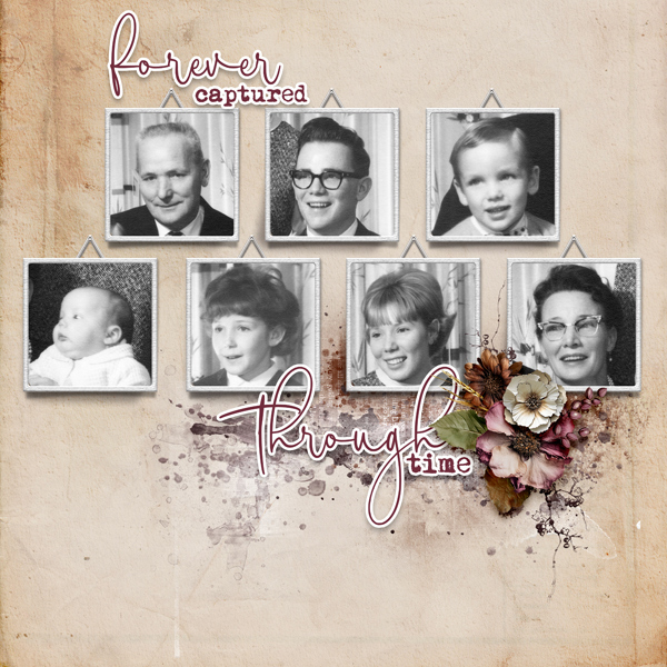 Family Gallery