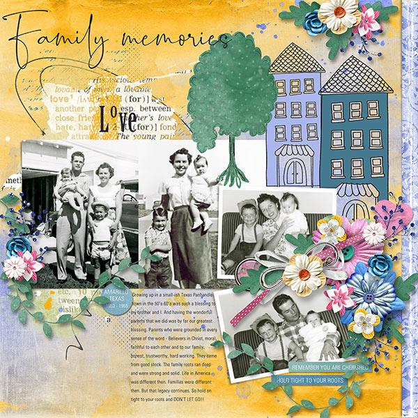 FAMILY MEMORIES