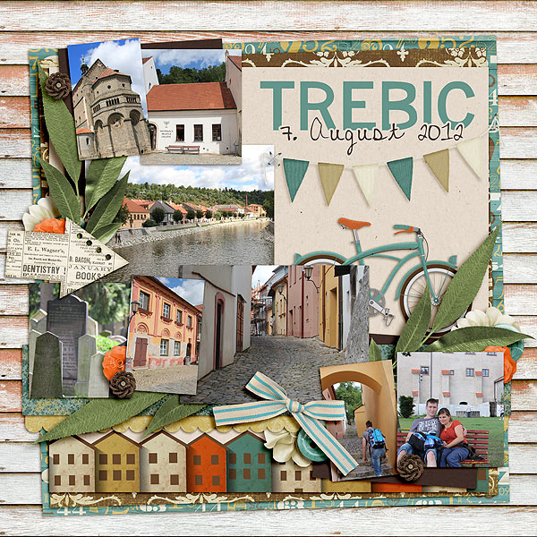 FB12-08Trebic-pbp