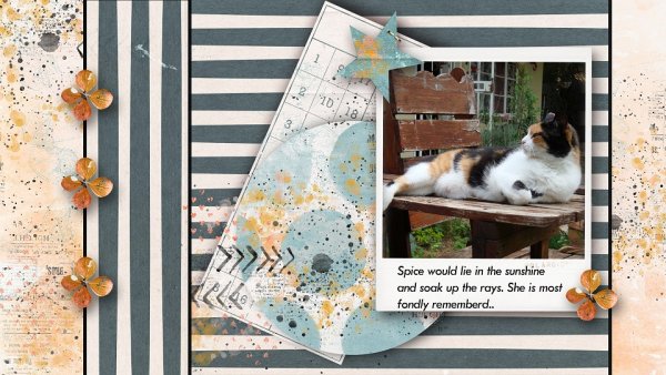 February 2020-Random Challenge-Create a Desktop Wallpaper.1.jpg