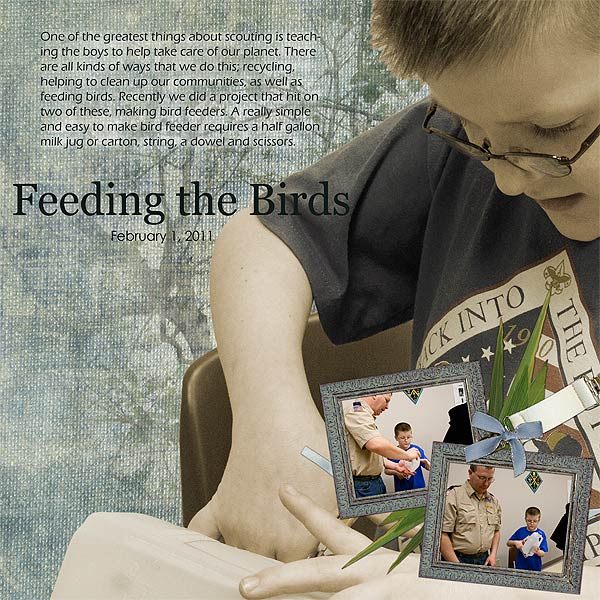 Feed the Birds