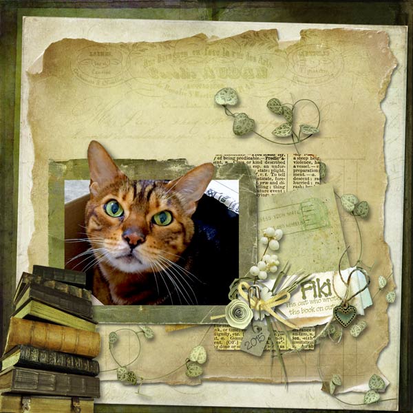 Fiki the cat who wrote the book on cute