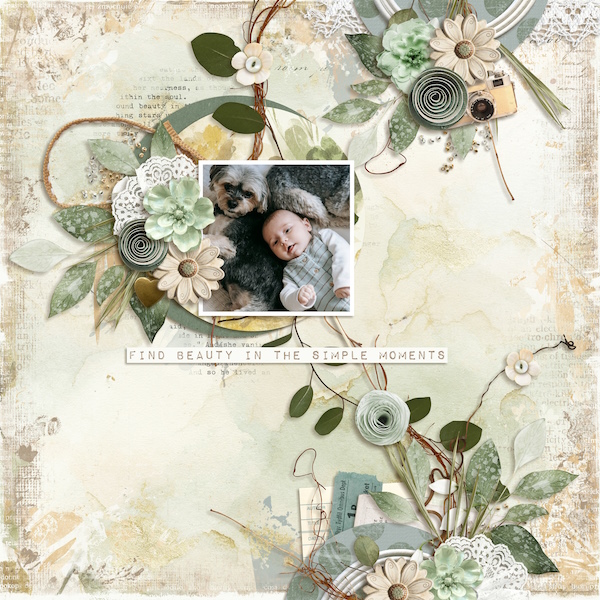 Find Beauty in the Simple Moments