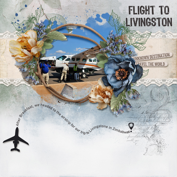Flight-to-Livingstone.jpg