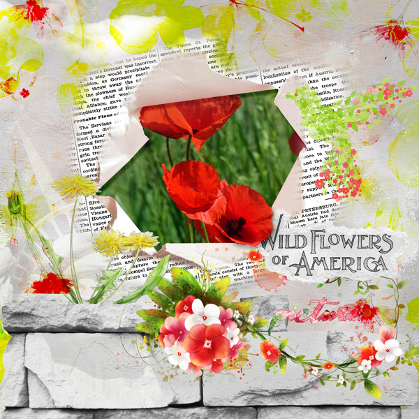 Flowers of America