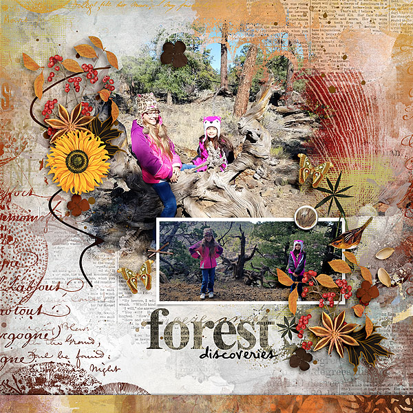 Forest Discoveries