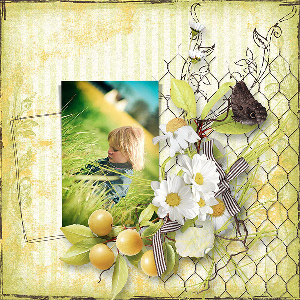 Foretaste of Spring