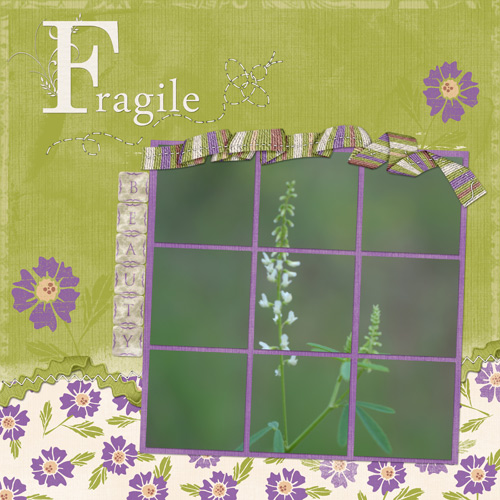 Fragile Beauty