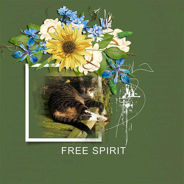 free spirit