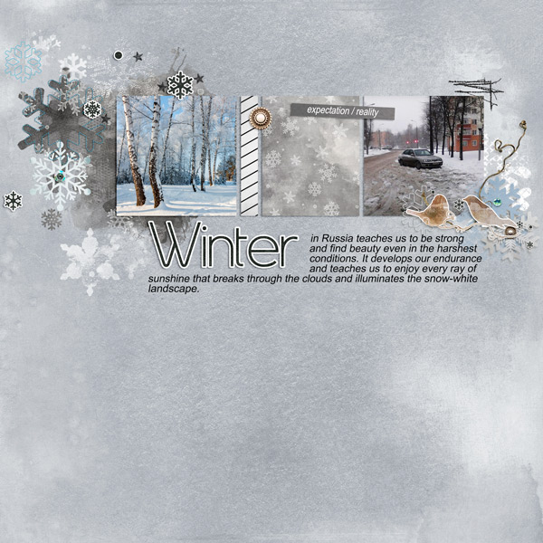 Frosty winter by et designs