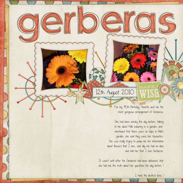 Gerberas