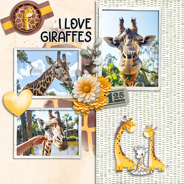 Giraffes.jpg