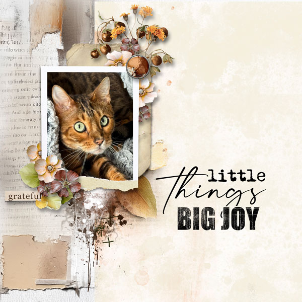 gratitude-journal.jpg