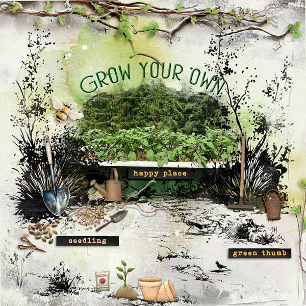 Grow Your Own