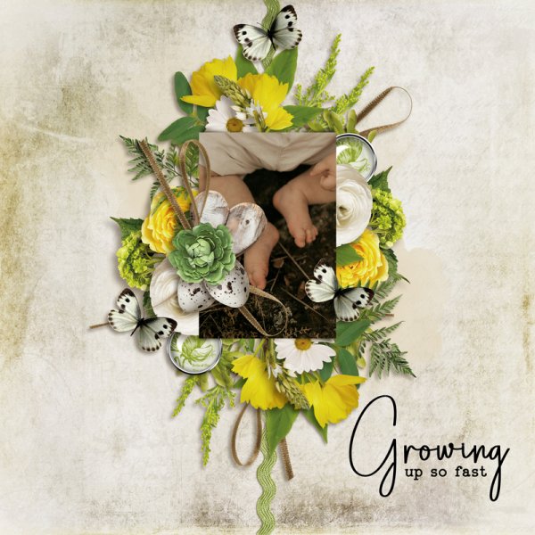 Growing Memories 2