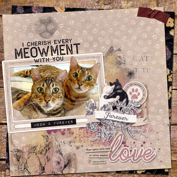 had-me-at-meow.jpg