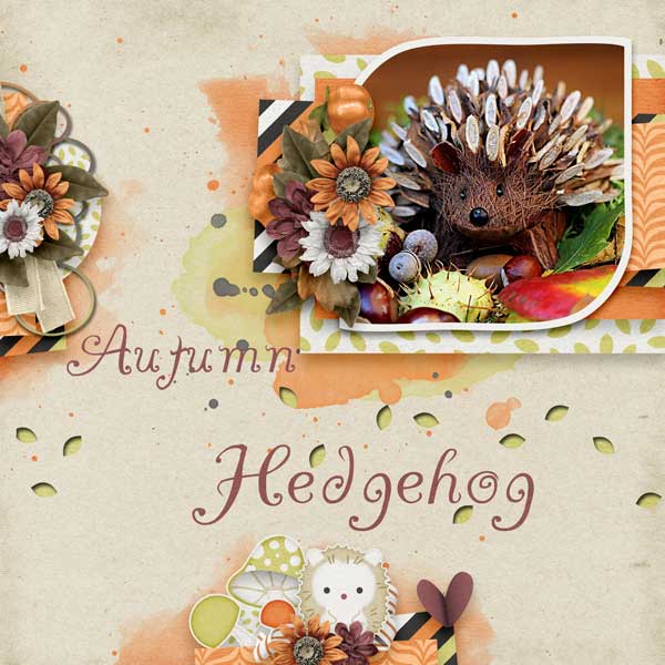 Hedgie Love & October Memories