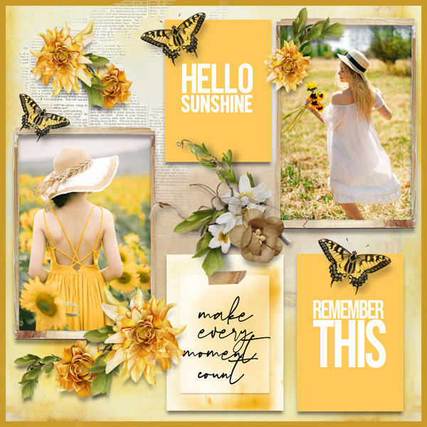 Hello Sunshine - Kay