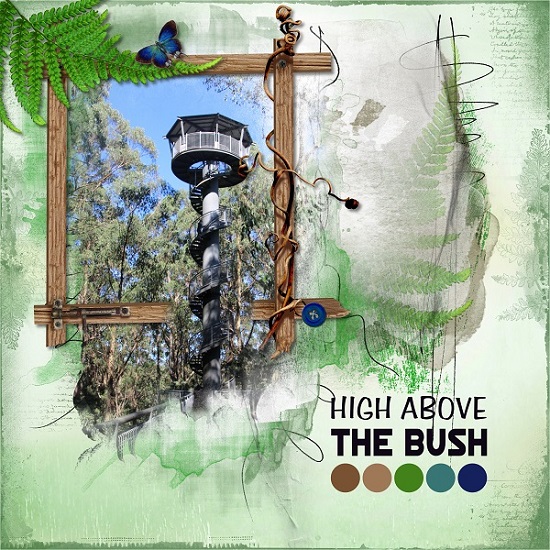 High_above_the_bush