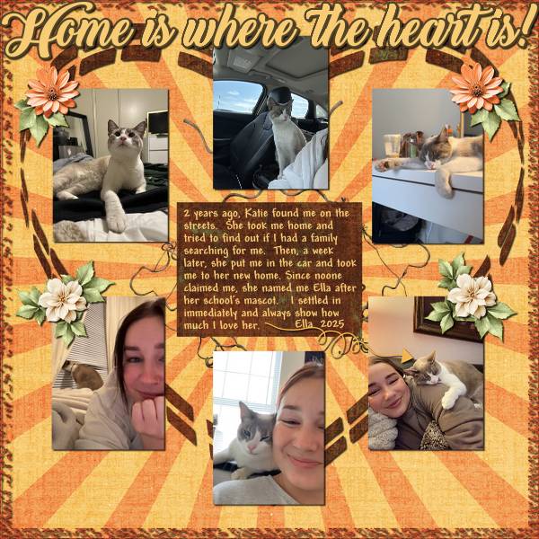 Home Is Where The Heart Is!