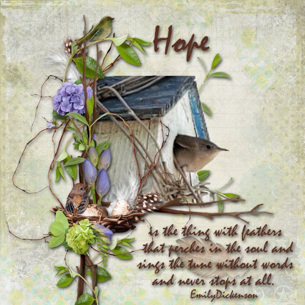 Hope Is...