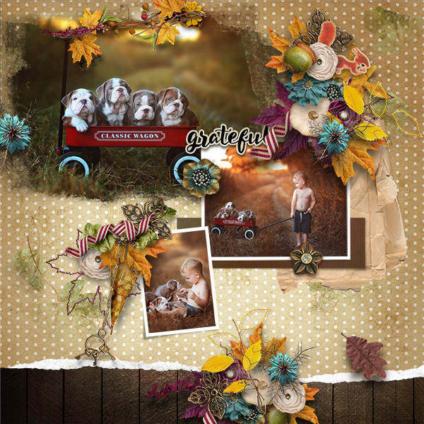 HSA-autumn-interlude-Pavlinka