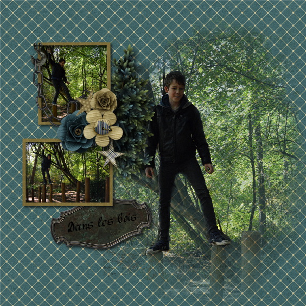In the wood