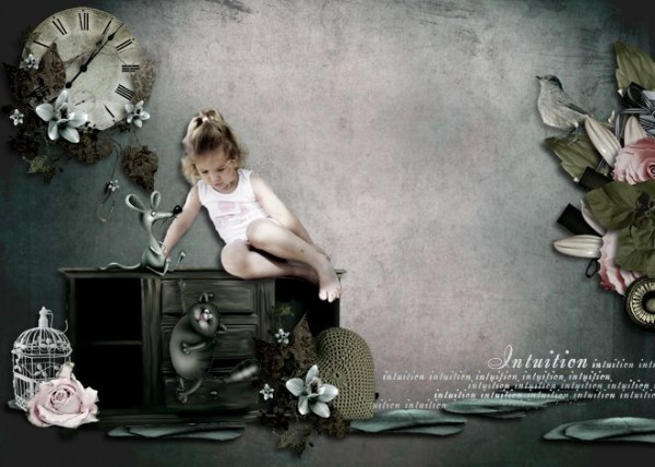 intuition