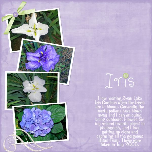 Iris