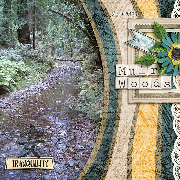 ISO Peace Within - Muir Woods