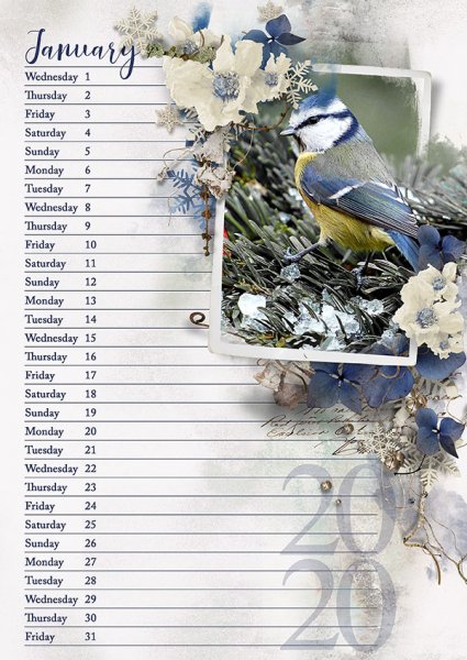 January 2020 Calendar