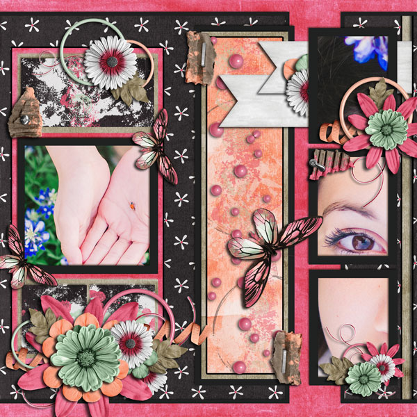 Jen Yurko - Butterflies and Blooms