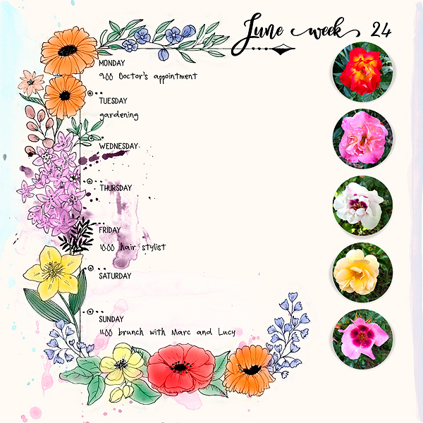 June week 24