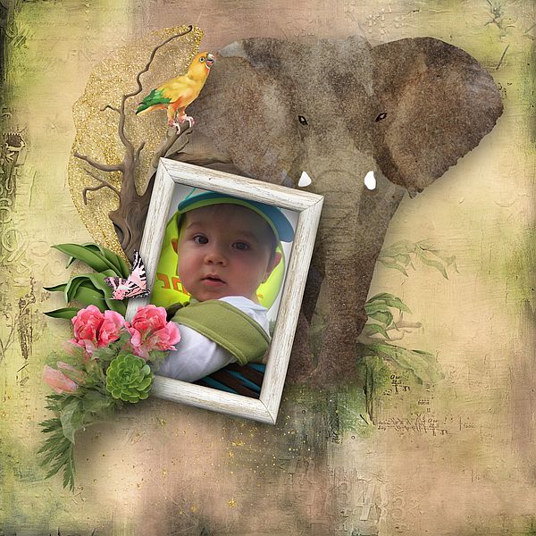 Jungle In My Heart